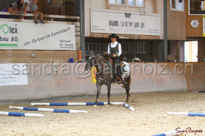 28-ApHC OT_010.jpg